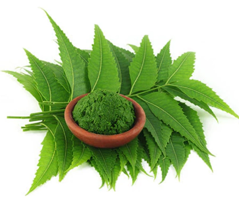 Neem